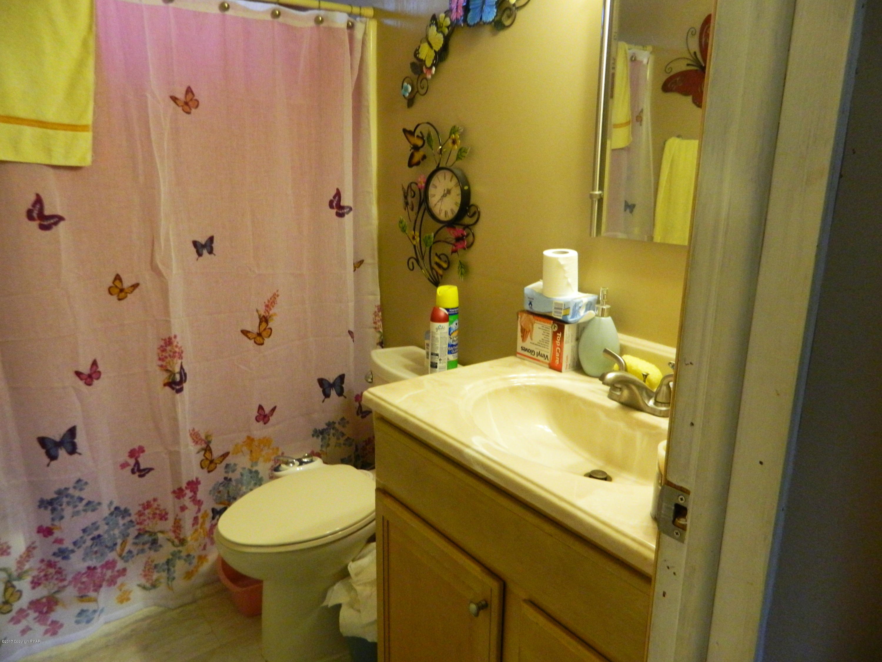 64 Pinetree Road Albrightsville, PA 18210 - Photo 10 of 12 Main Bath