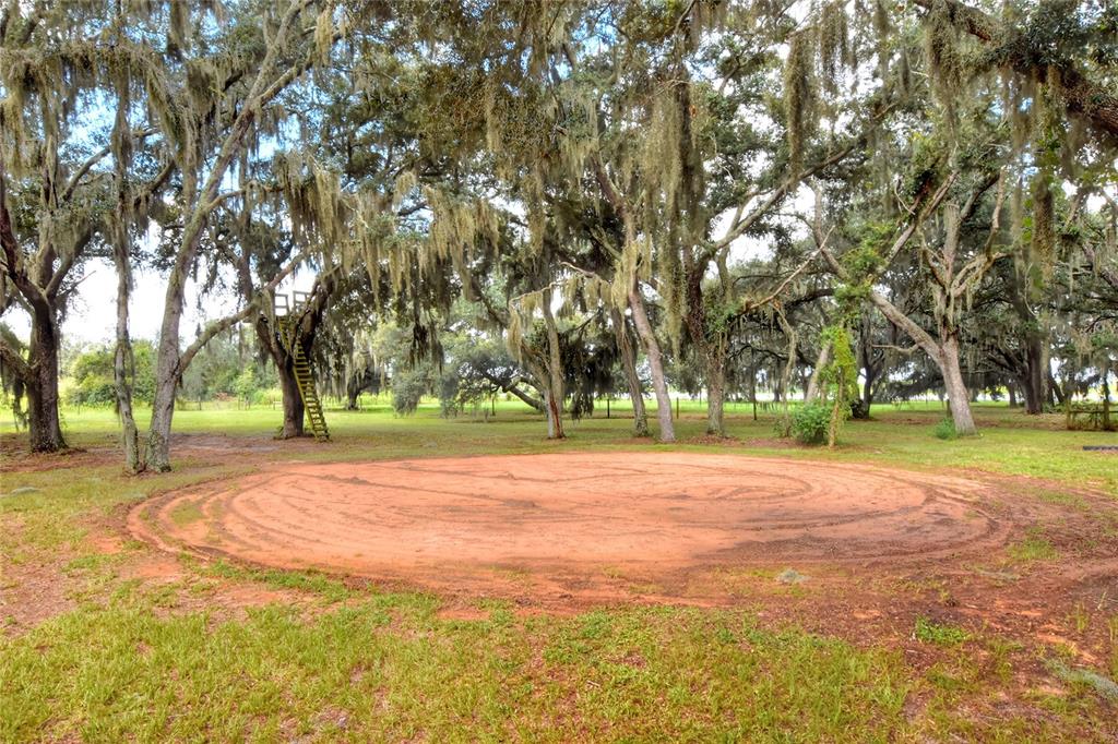 20431 Keene Road Wimauma, FL 33598 - Photo 13 of 22 Gallery Image 13
