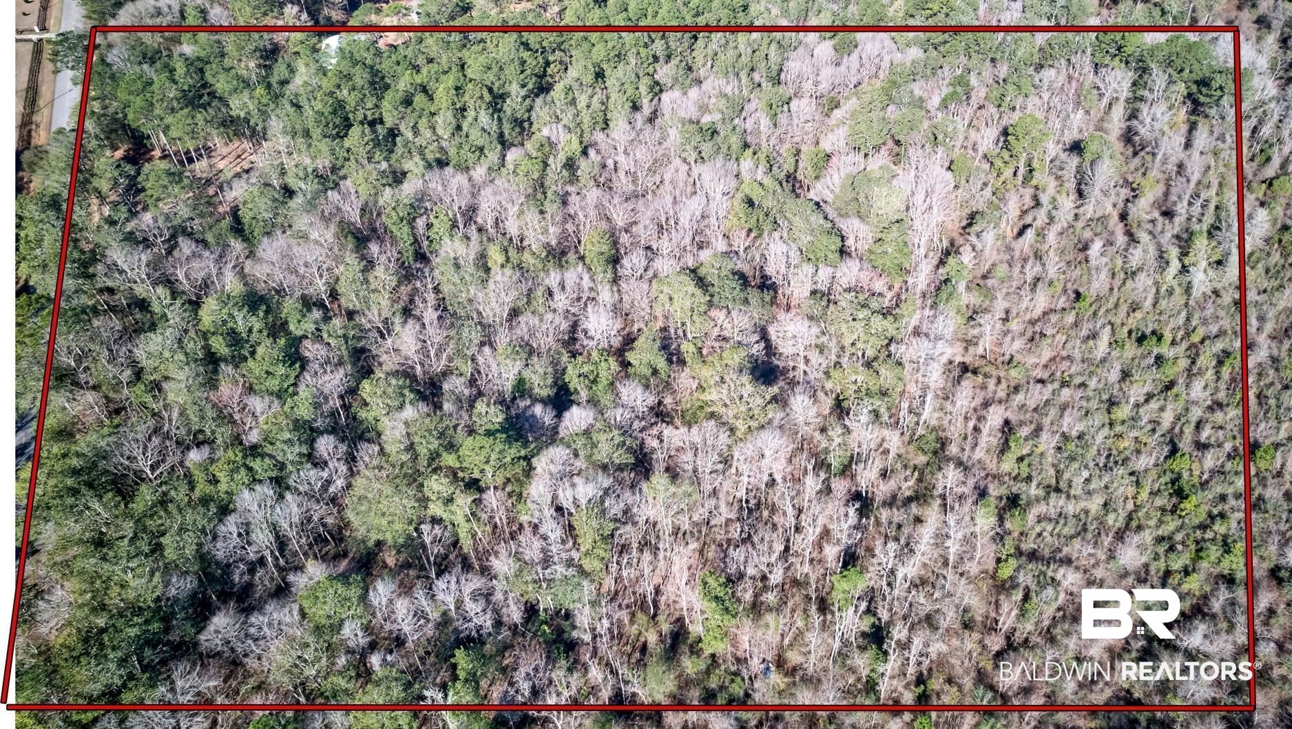 28720 Loper Road Loxley, AL 36551 - Photo 3 of 8