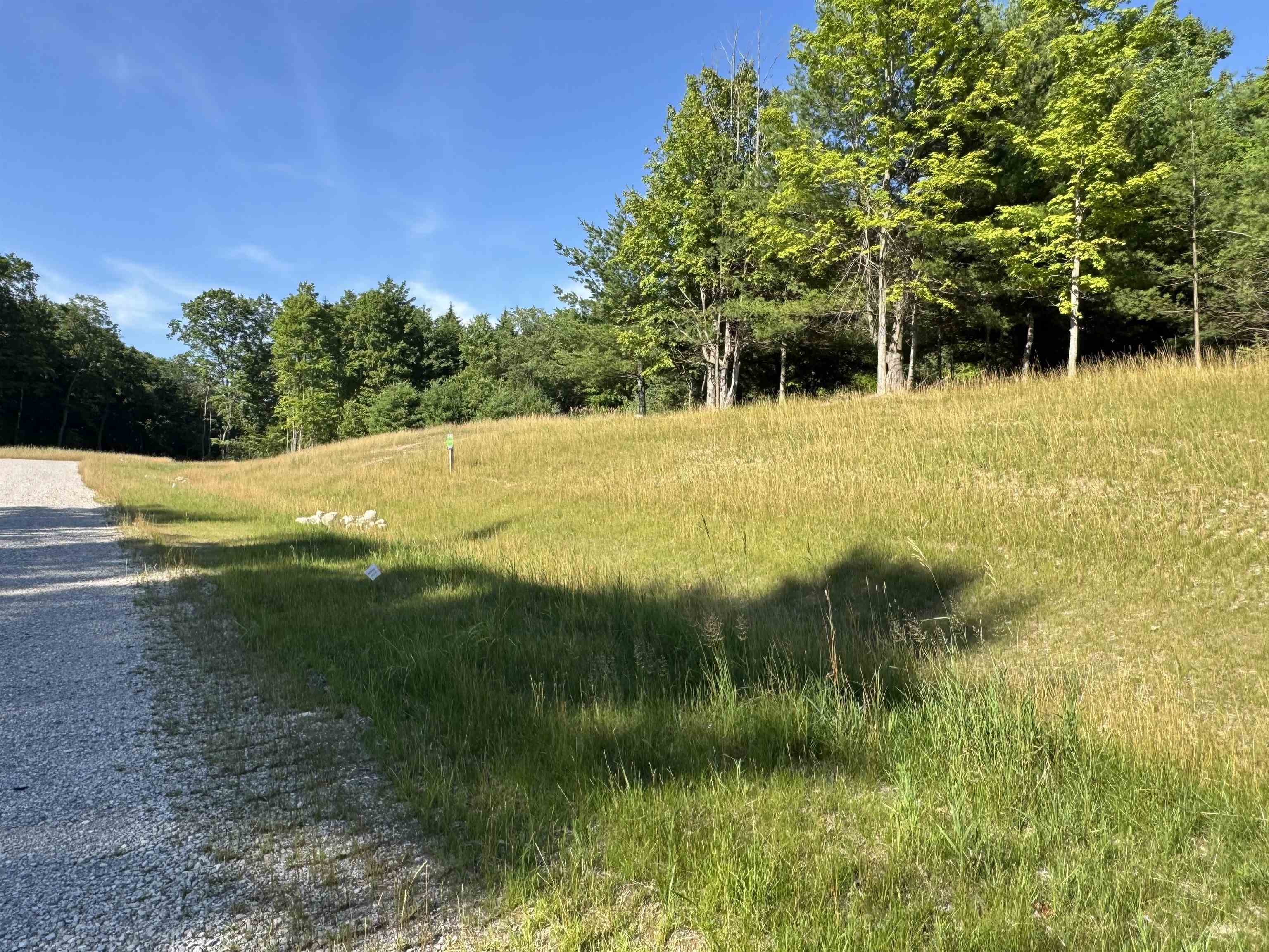 Lot #6 East Bellinger Road Cedar, MI 49621 - Photo 8 of 38 1948121-e49188de-dfd4-40cd-b737-bf8e8caa71ef.JPG