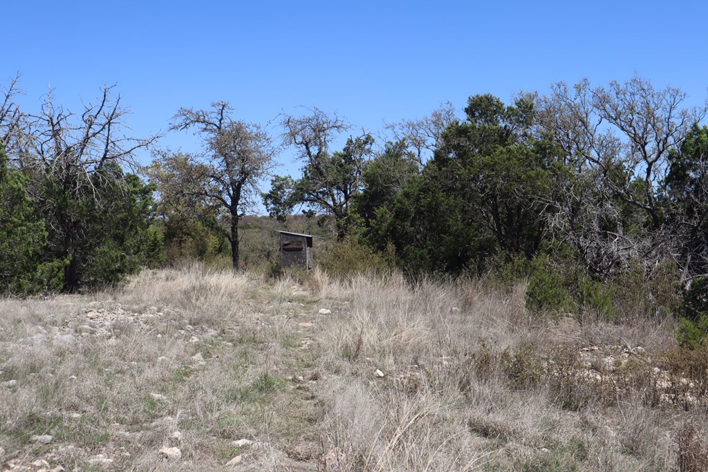 462 Schenk Witkowski Road Rocksprings, TX 78880 - Photo 24 of 51