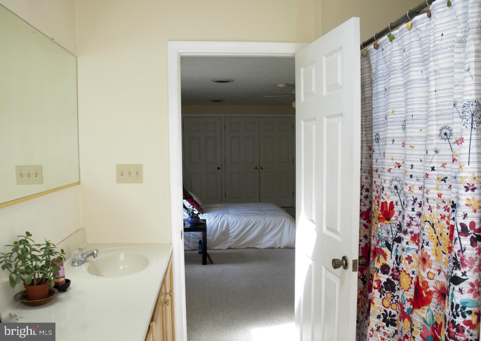 8953 Indian Springs Road Frederick, MD 21702 - Photo 19 of 23 Bath (Master)