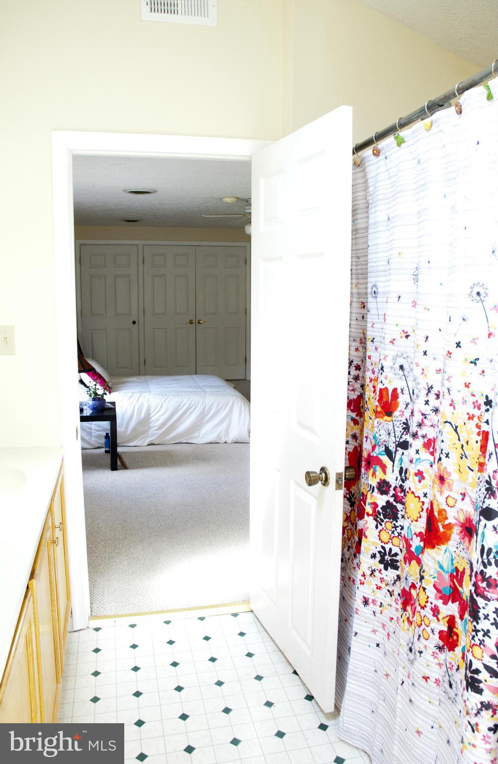 8953 Indian Springs Road Frederick, MD 21702 - Photo 20 of 23 Bath (Master)