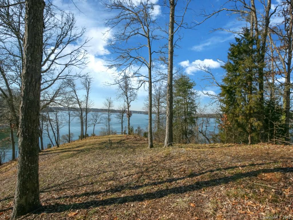8015 Kiwi Point Tega Cay, SC 29708 - Photo 3 of 24