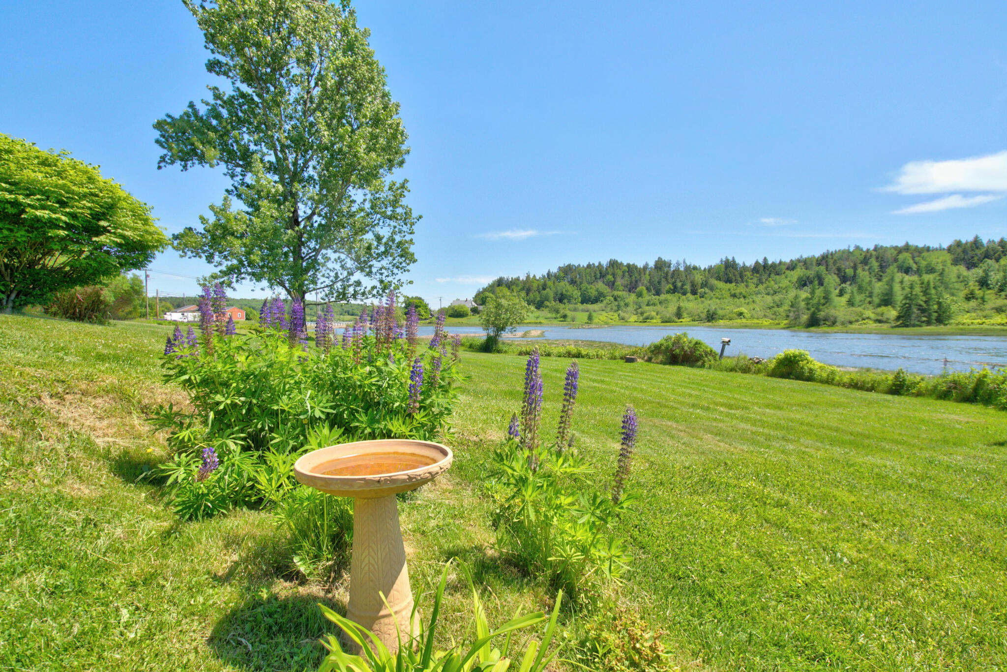 219 Port Road Machiasport, ME 04655 - Photo 59 of 65 219 Port Road2-58