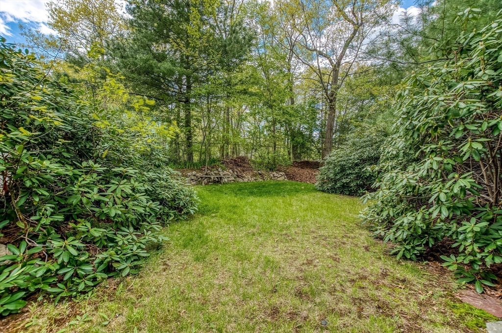 42 Stoughton Road Dedham, MA 02026 - Photo 26 of 29 Gallery Image 26