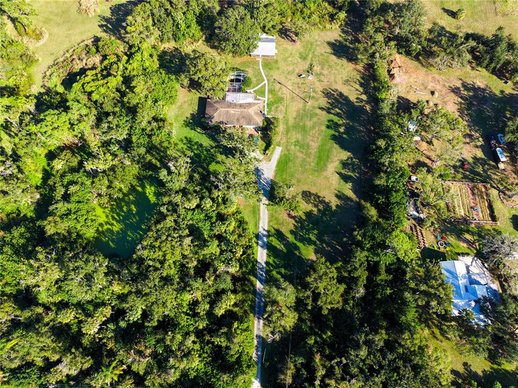 4855 Bliss Road Sarasota, FL 34233 - Photo 9 of 15 a backyard of a house with lots of trees