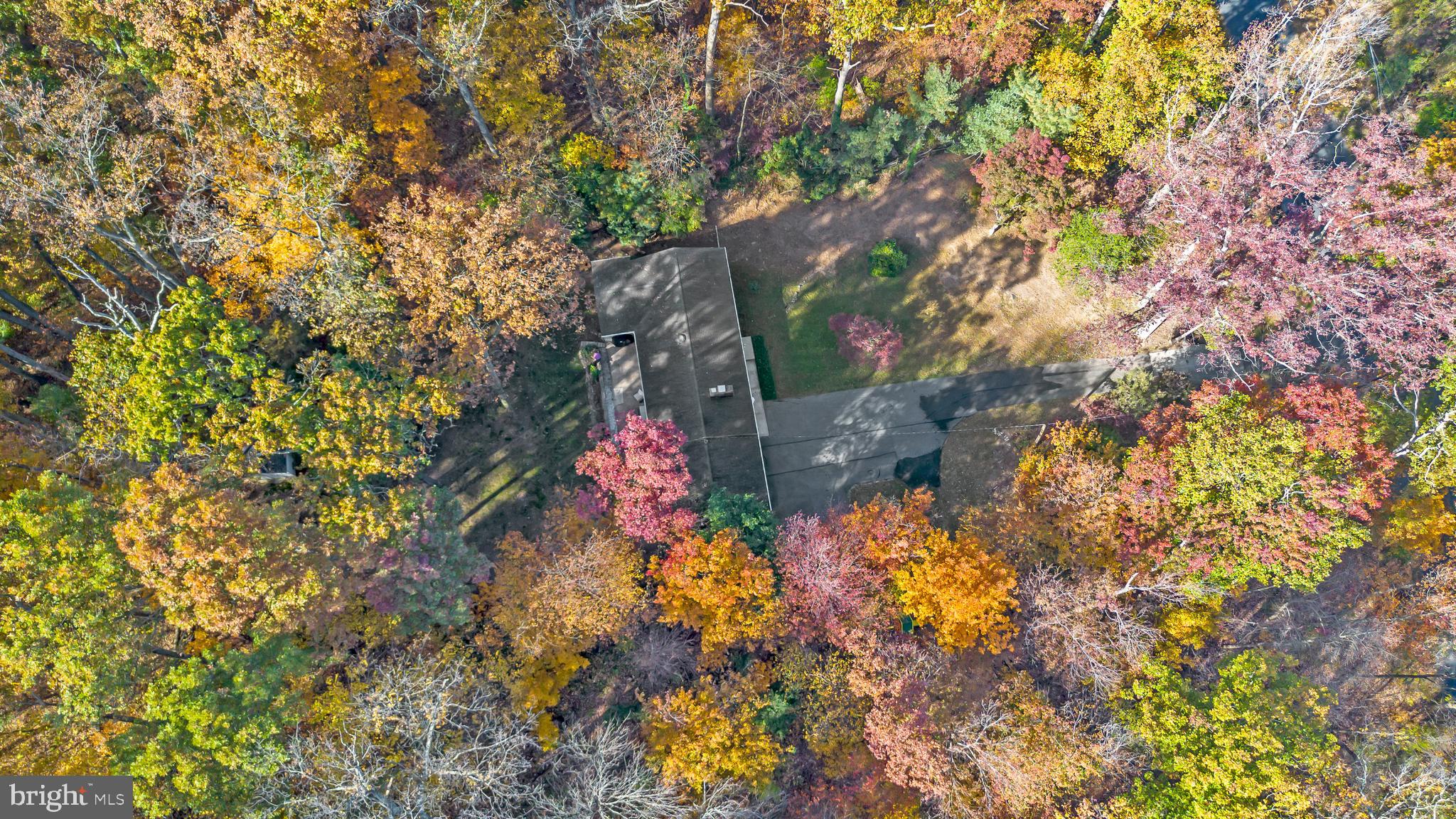 3605 Hoffman Mill Road Hampstead, MD 21074 - Photo 40 of 43 a view of a flower in a garden