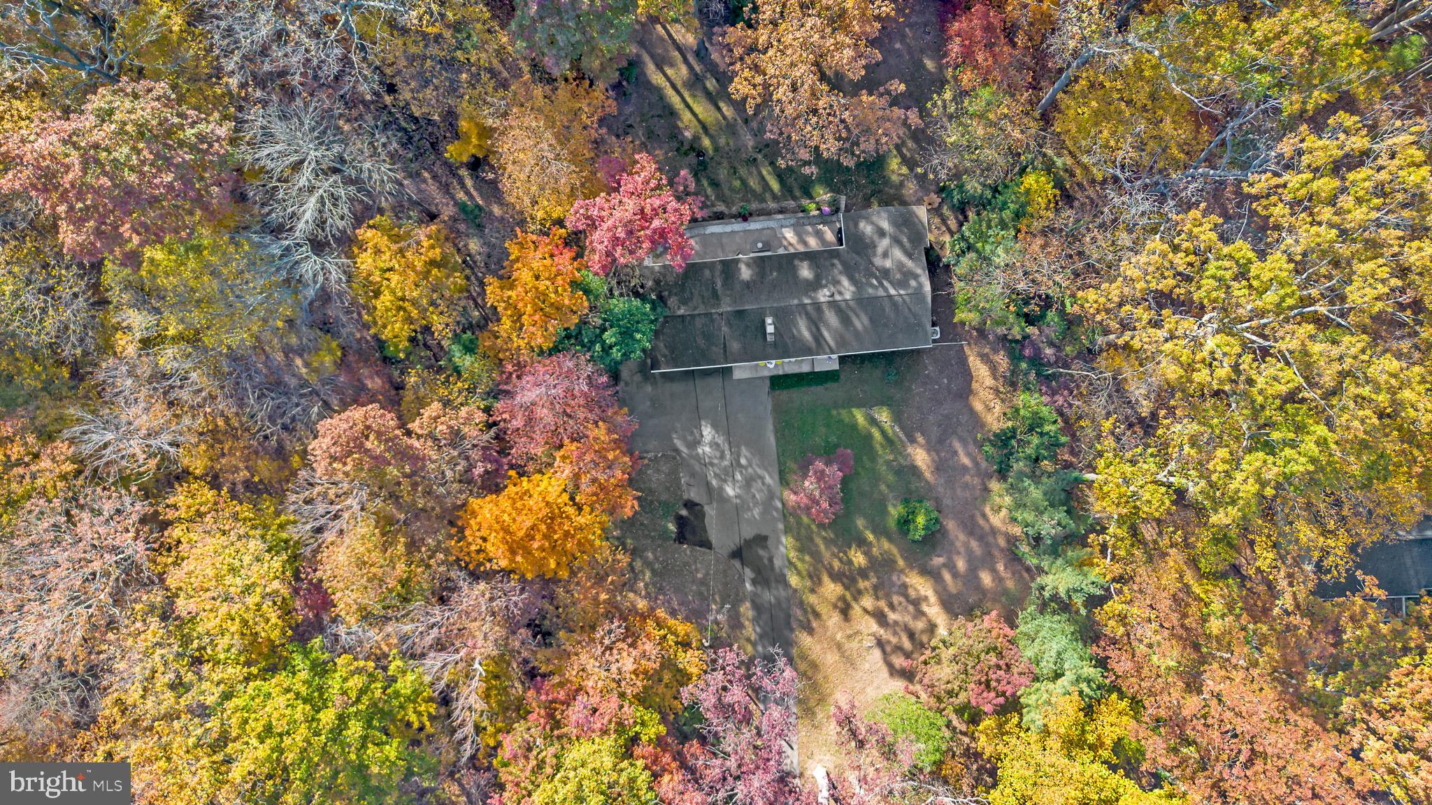 3605 Hoffman Mill Road Hampstead, MD 21074 - Photo 42 of 43 a backyard of a house with lots of green space
