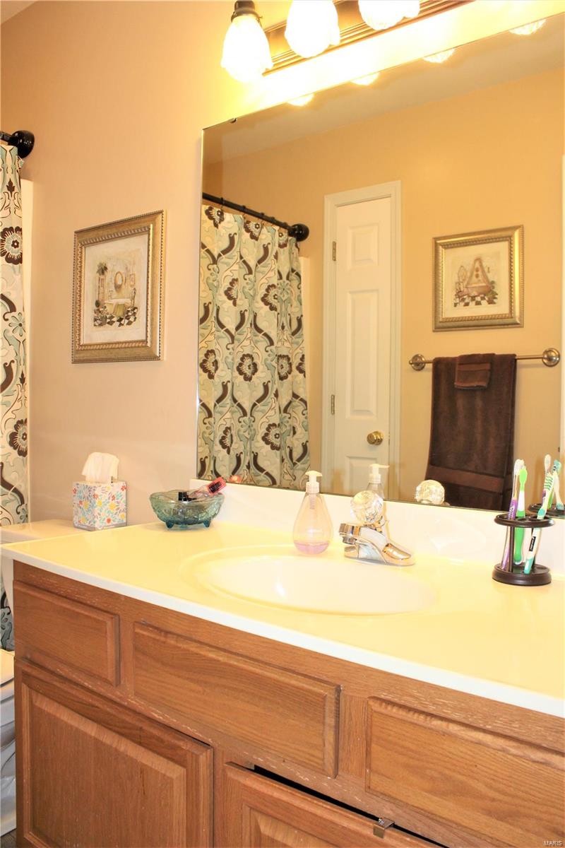 416 Hartmann Lane Waterloo, IL 62298 - Photo 55 of 98 Gallery Image 55