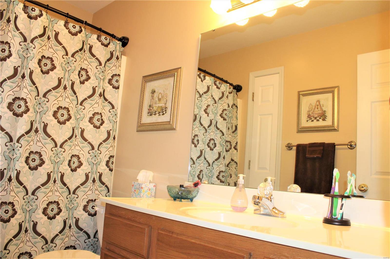 416 Hartmann Lane Waterloo, IL 62298 - Photo 56 of 98 Gallery Image 56