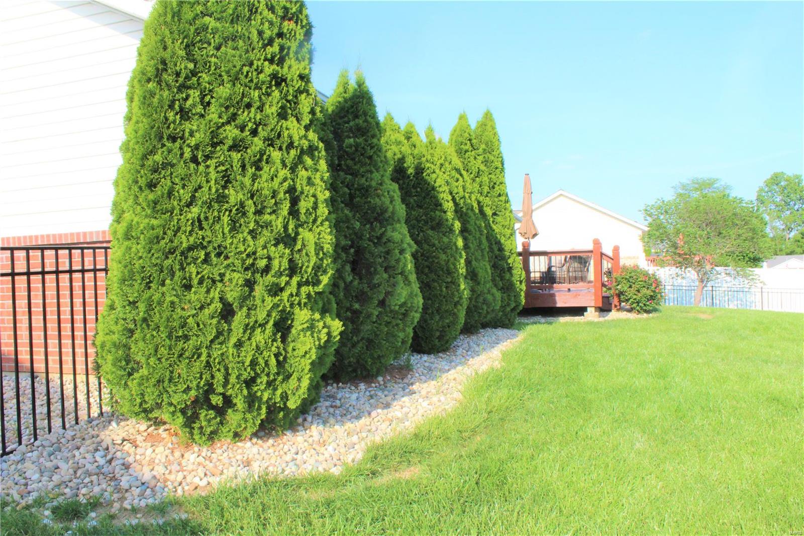 416 Hartmann Lane Waterloo, IL 62298 - Photo 88 of 98 Gallery Image 88