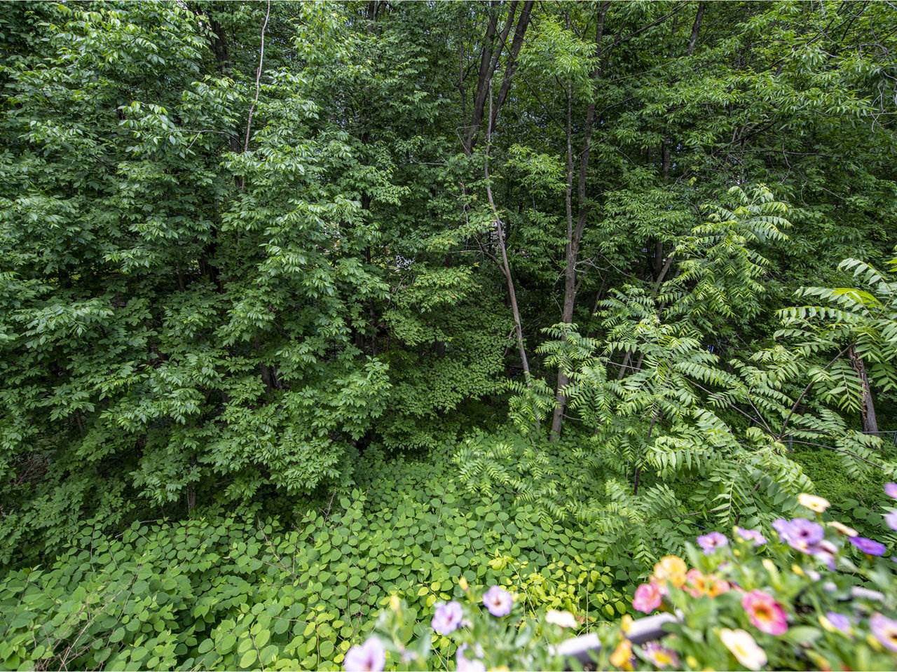 87 Williams Road Colchester, VT 05446 - Photo 10 of 39 Gallery Image 10