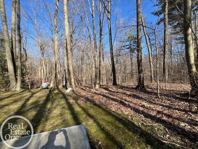 3846 Cribbins Road North Street, MI 48049 - Photo 46 of 62