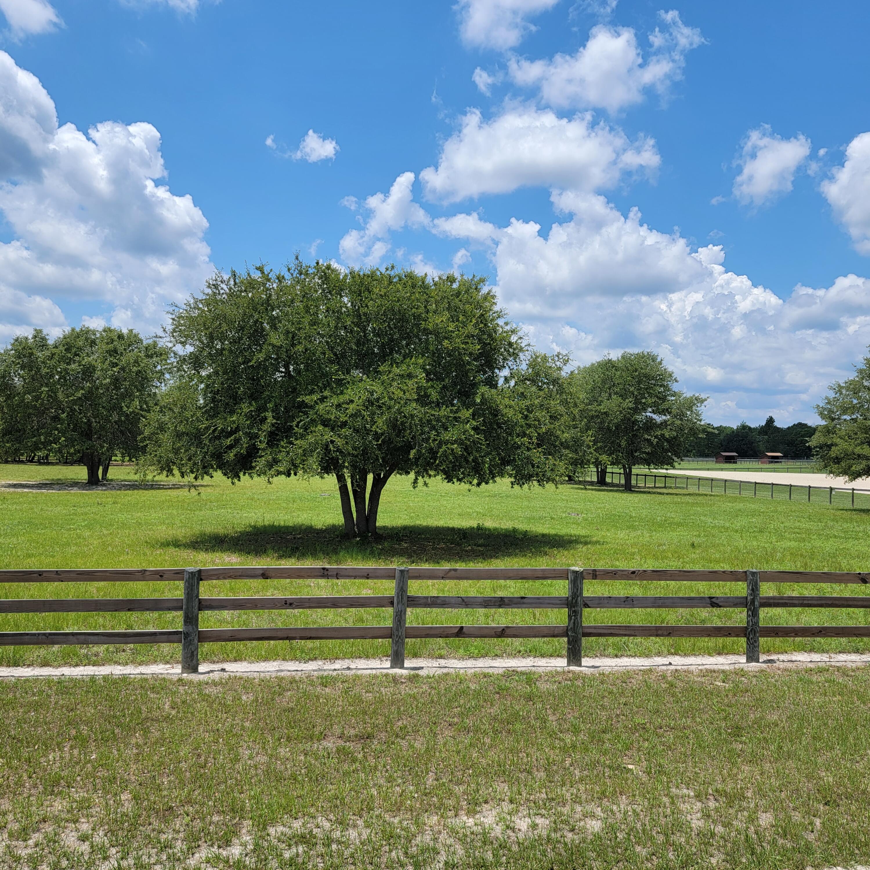 0 Riker Trail Windsor, SC 29856 - Photo 10 of 21