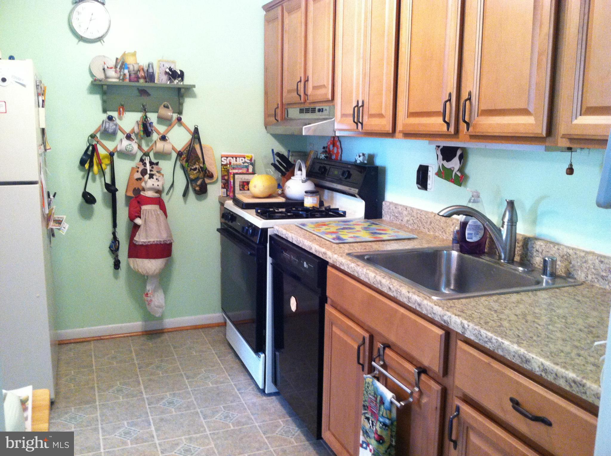 9175 Hitching Post Lane, Unit E Laurel, MD 20723 - Photo 8 of 15 Kitchen