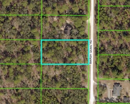 16027 Marsh Quail Road Weeki Wachee, FL 34614 - Photo 1 of 1