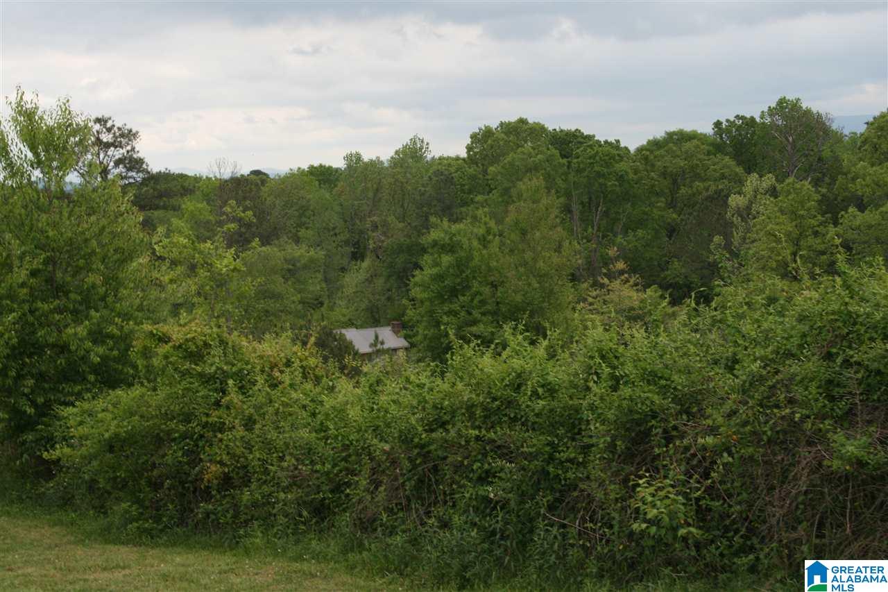 1170 Plant Road, Unit 25 AC Talladega, AL 35160 - Photo 8 of 8