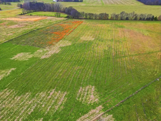 $749,000 | 5654 Borthick Road, Springfield, TN 37172