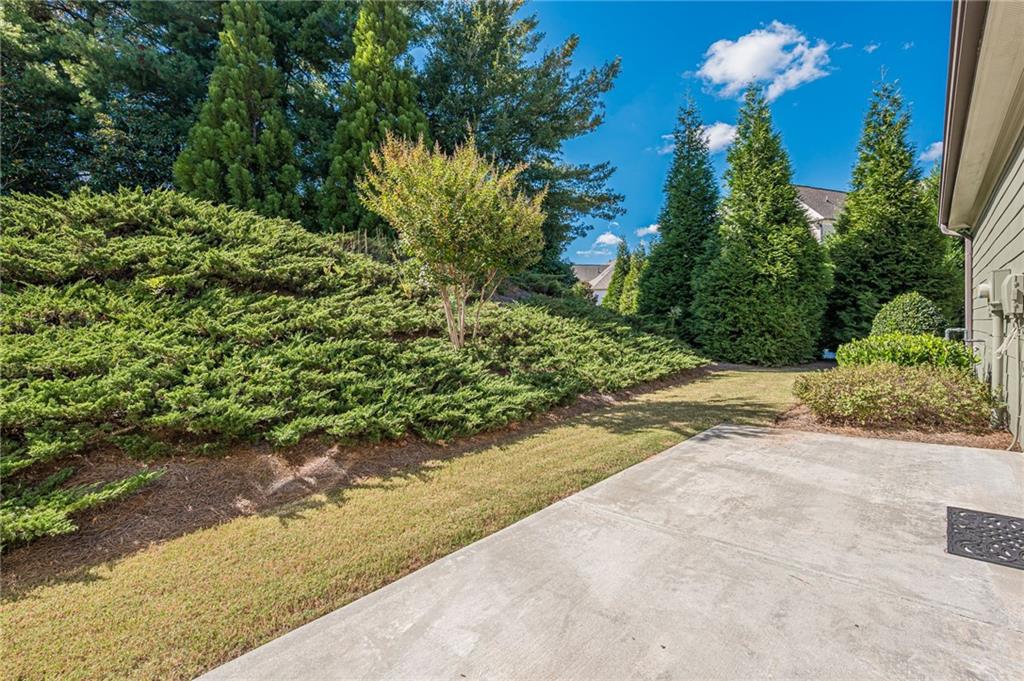 1040 Peyton View Court Alpharetta, GA 30004 - Photo 46 of 53 a view of a yard with plants