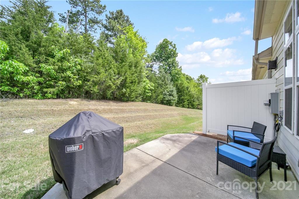 107 Inlet Point Drive Tega Cay, SC 29708 - Photo 18 of 24 a view of yard with outdoor seating