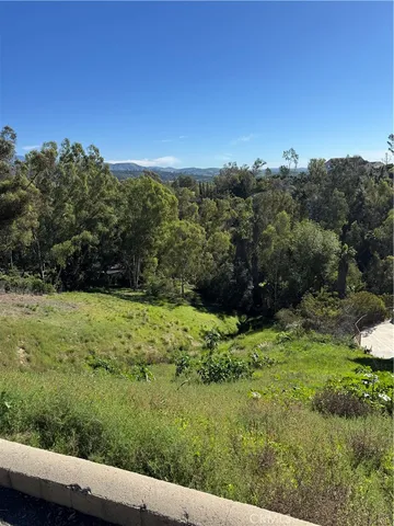 a view of a yard with a tree