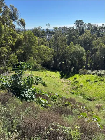 a view of green field with trees in the background