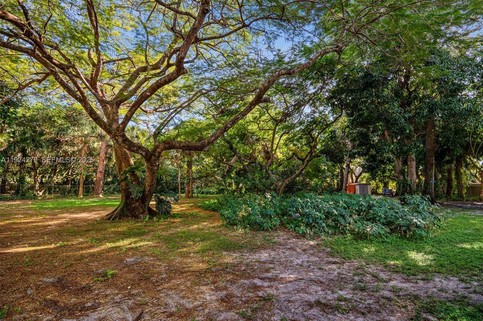 4316 Southwest 6th Street Plantation, FL 33317 - Photo 21 of 24 a view of a tree in a yard