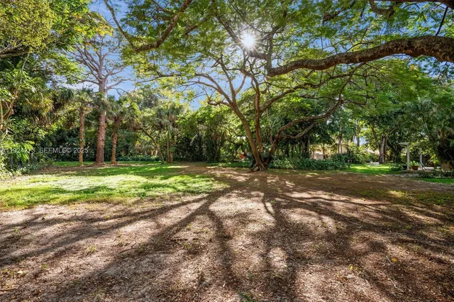 a view of a yard with a tree