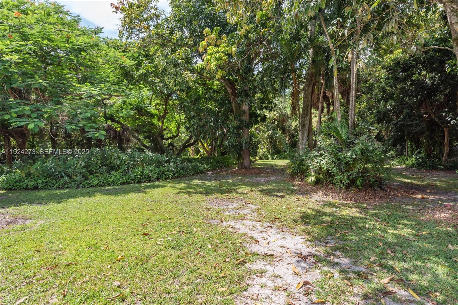 4316 Southwest 6th Street Plantation, FL 33317 - Photo 23 of 24 a view of a yard with a tree