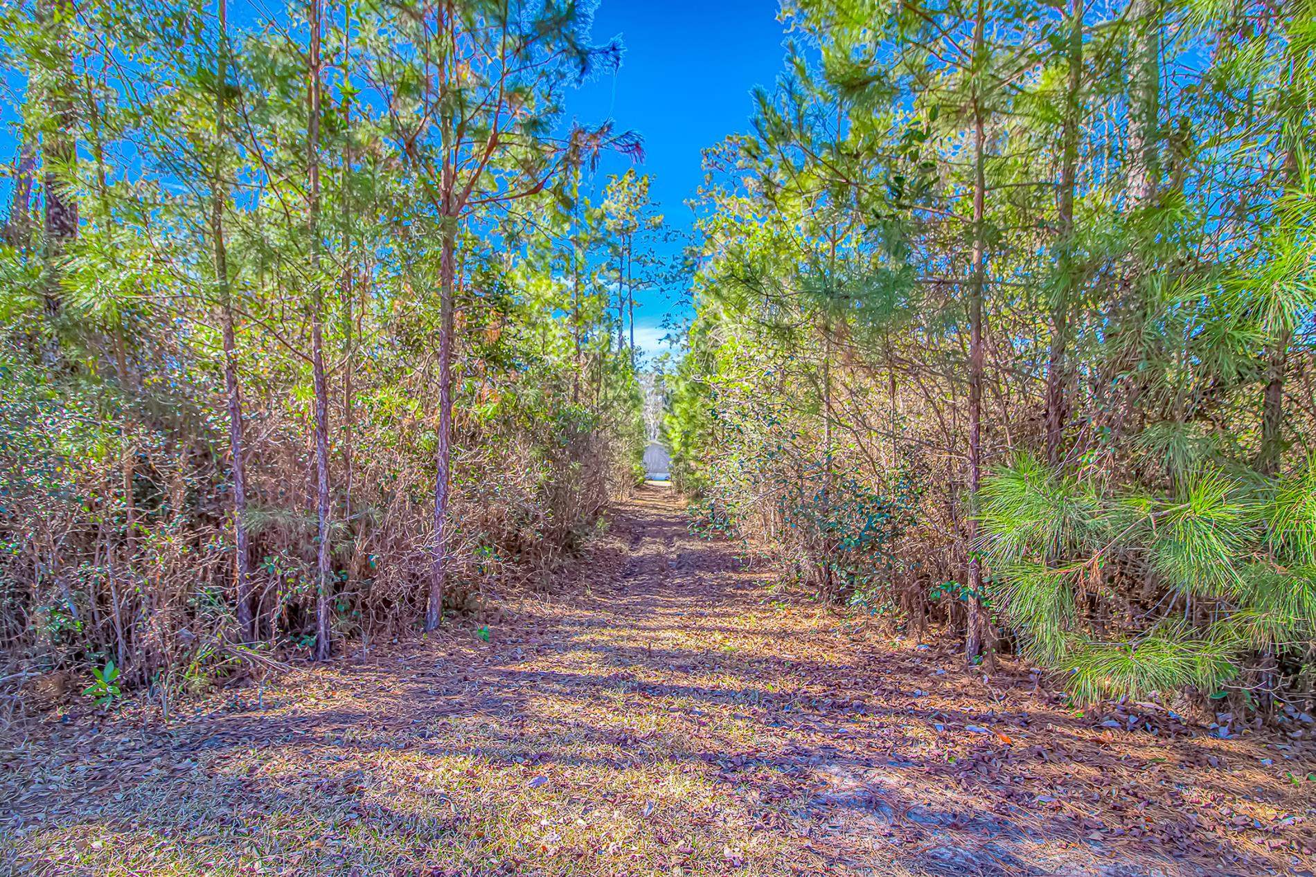 81 Silver Pond Lane Hemingway, SC 29554 - Photo 34 of 40