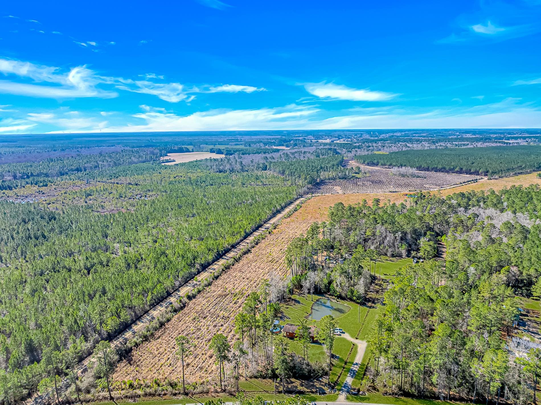81 Silver Pond Lane Hemingway, SC 29554 - Photo 40 of 40
