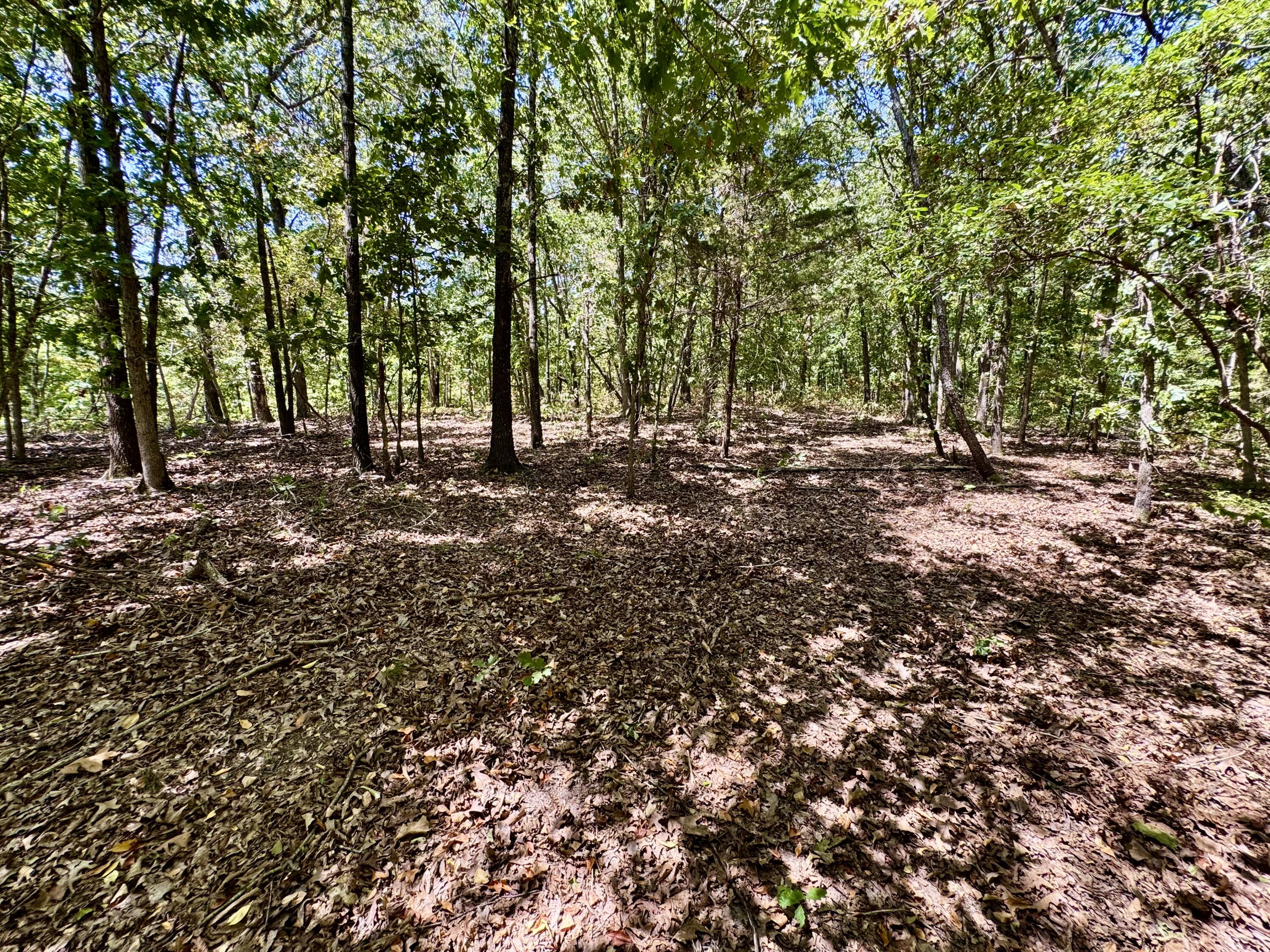 2059/2099 Allison Road Anderson, MO 64831 - Photo 29 of 40 33 (4)