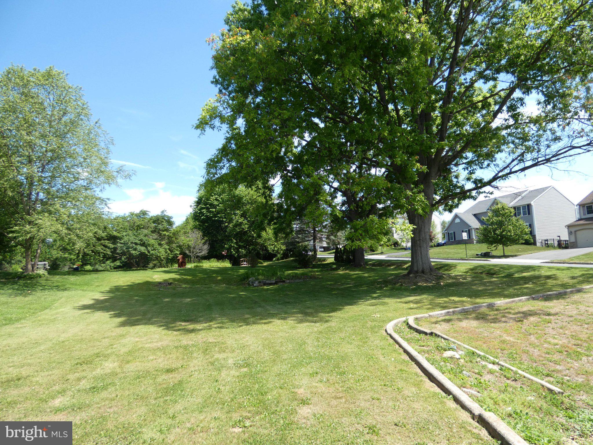 3 Ruth Avenue Wernersville, PA 19565 - Photo 5 of 6 Lush green space under a clear sky.
