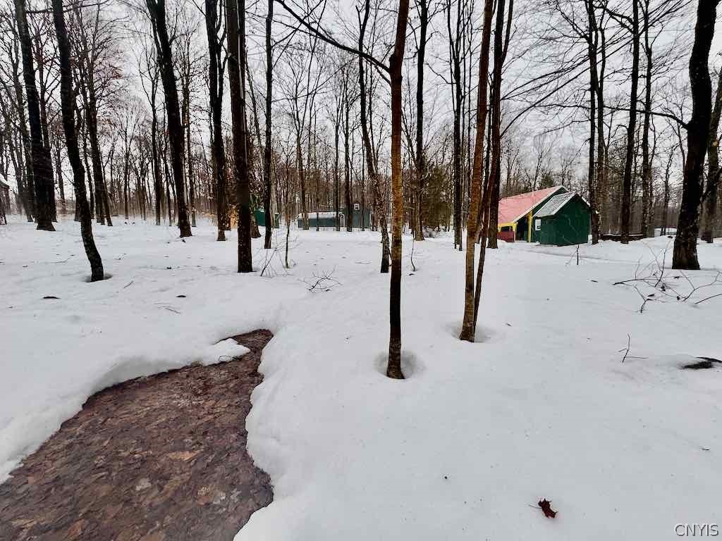 25 Little America Road Richland, NY 13144 - Photo 7 of 10