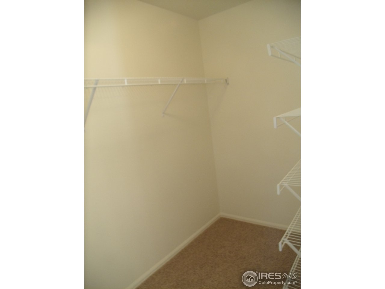 6936 McClellan Road Wellington, CO 80549 - Photo 12 of 14 Gallery Image 12