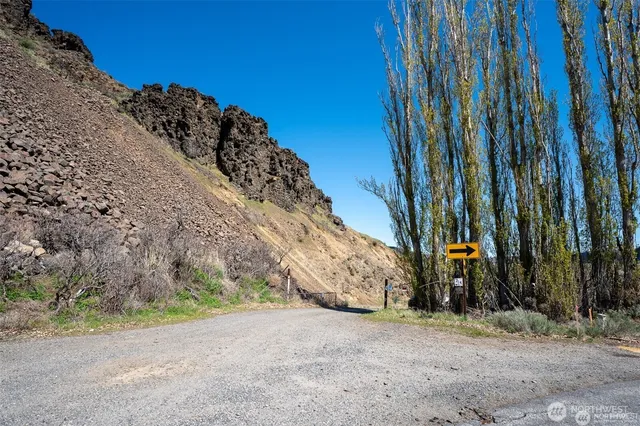 a view of a backyard with plants