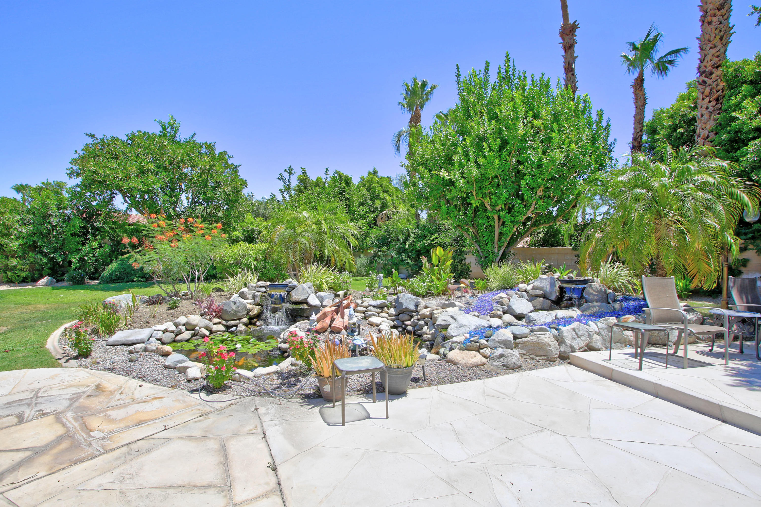 a view of a backyard with plants and tree
