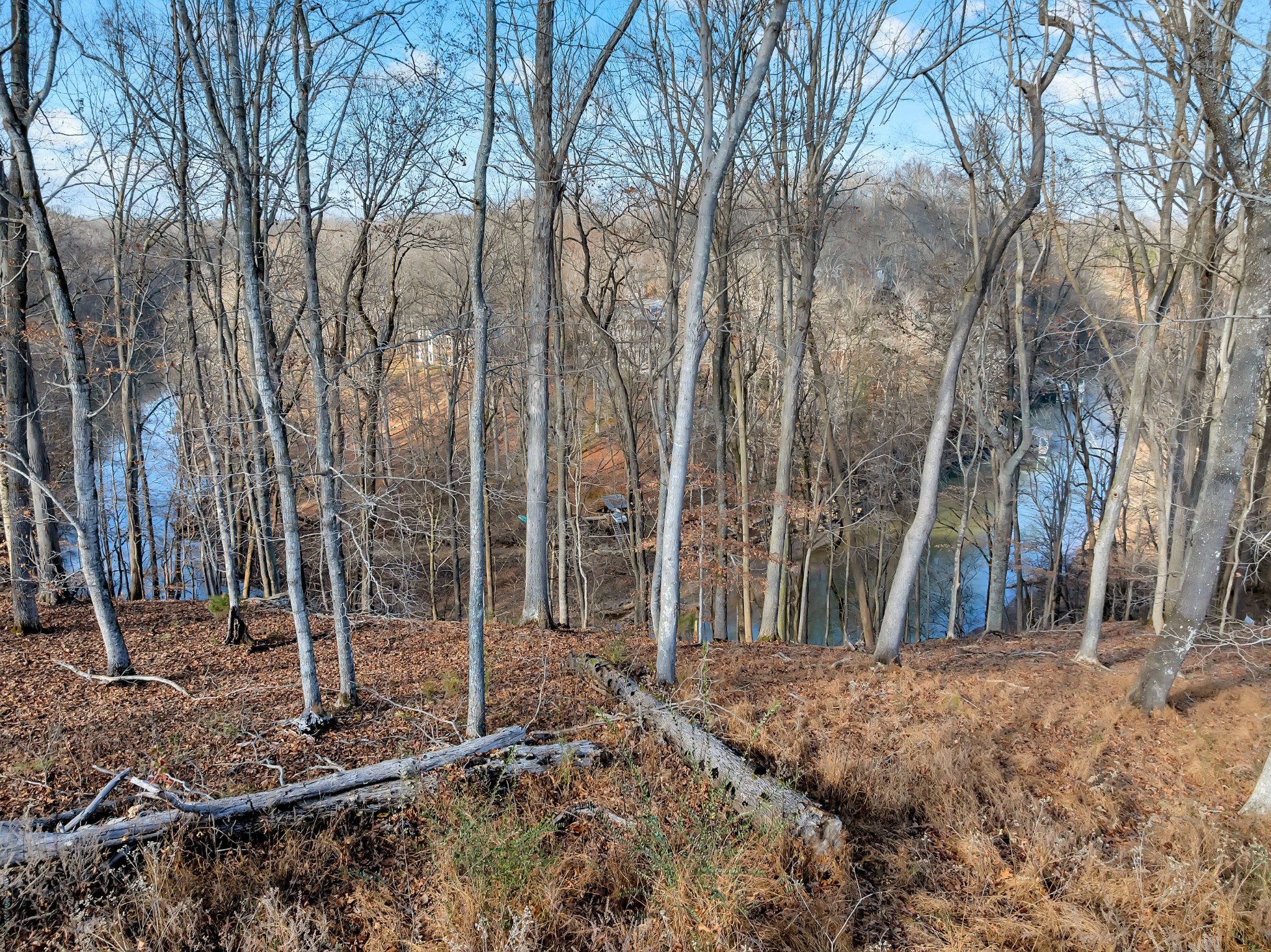 0 Hidden River Road Rock Island, TN 38581 - Photo 13 of 29 a backyard of a house with lots of tall trees