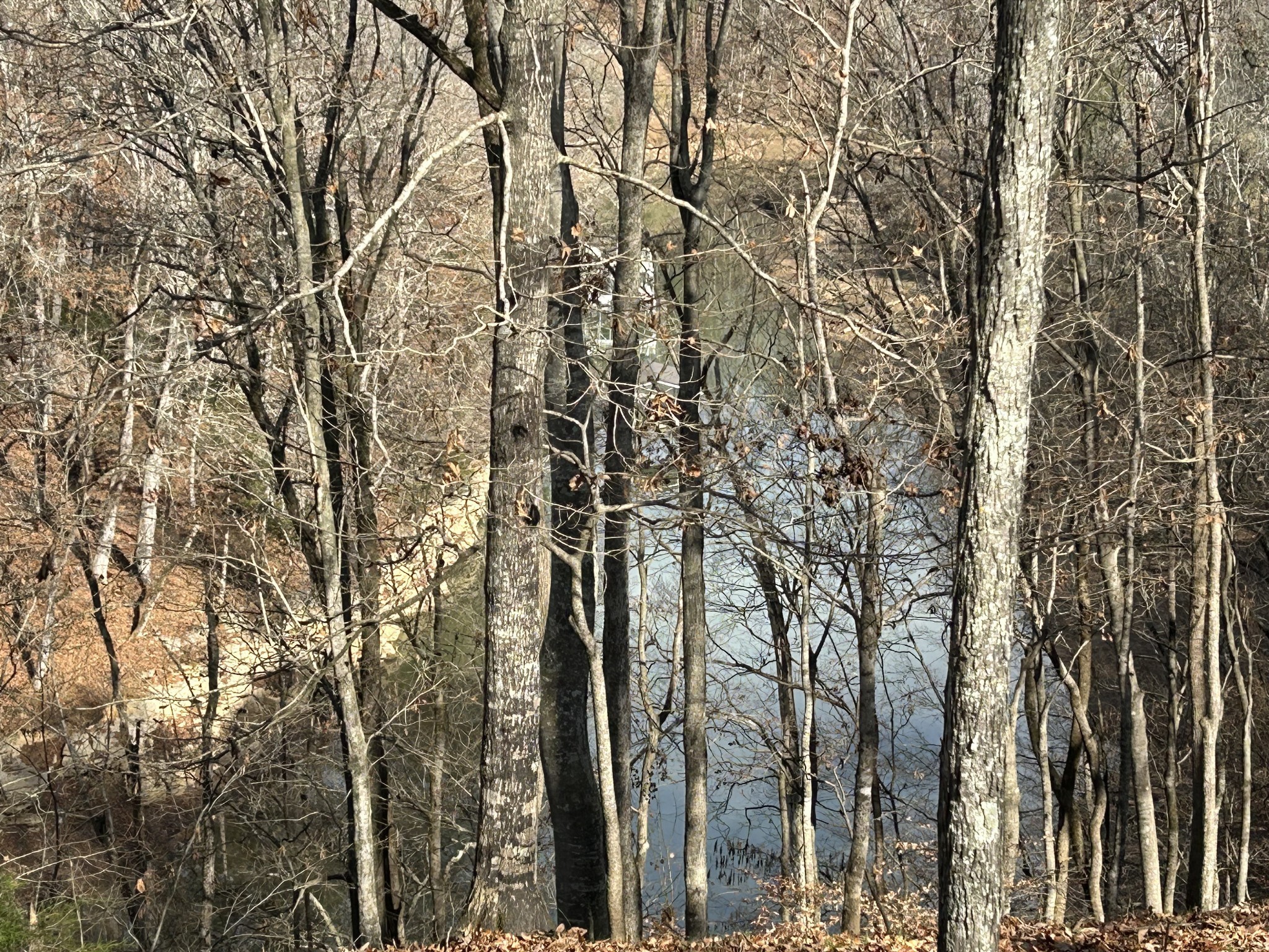 0 Hidden River Road Rock Island, TN 38581 - Photo 14 of 29