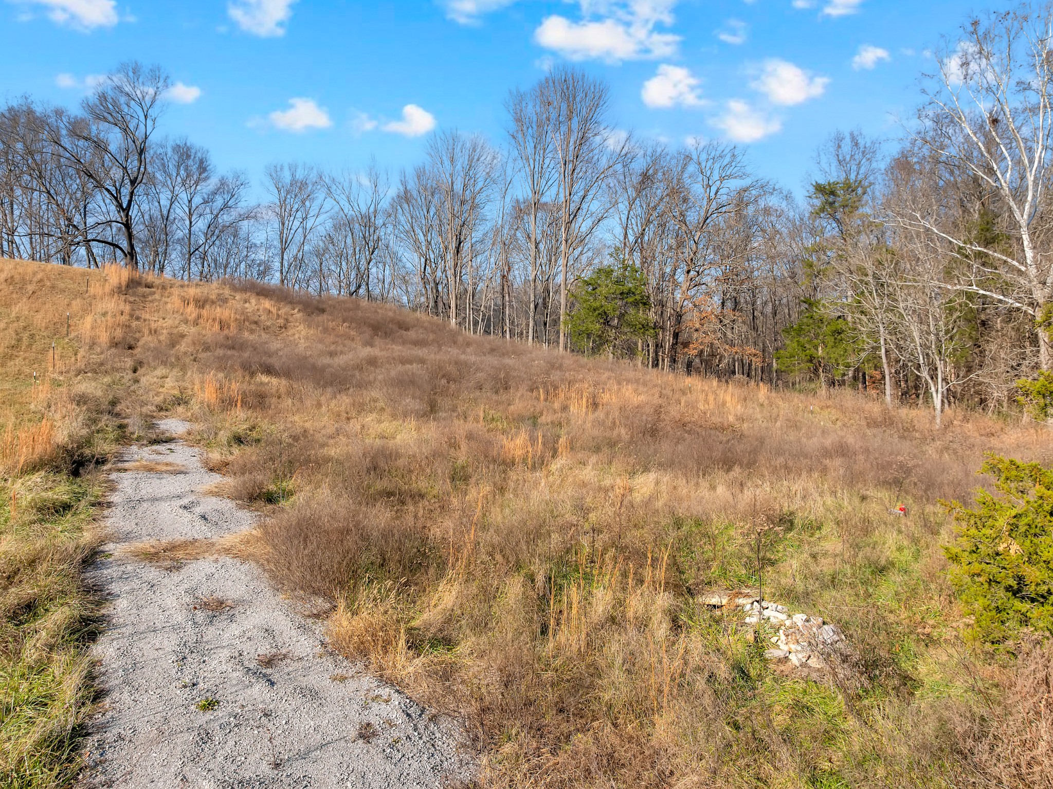 0 Hidden River Road Rock Island, TN 38581 - Photo 17 of 29 a view of side of a road with trees