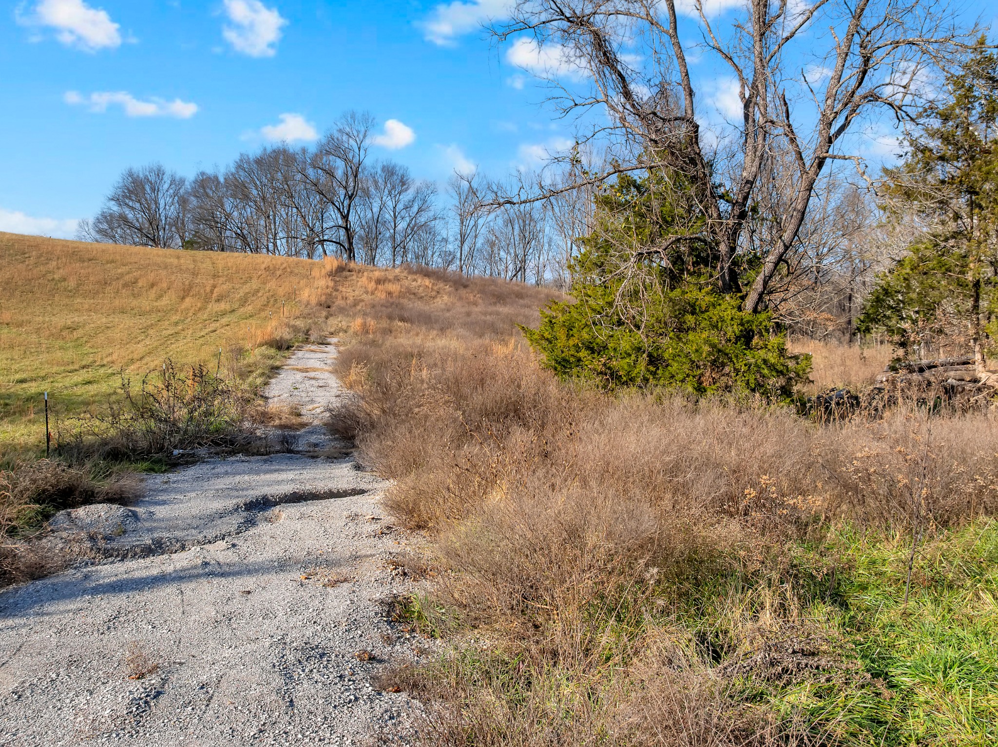 0 Hidden River Road Rock Island, TN 38581 - Photo 18 of 29 a view of a dry yard with wooden fence