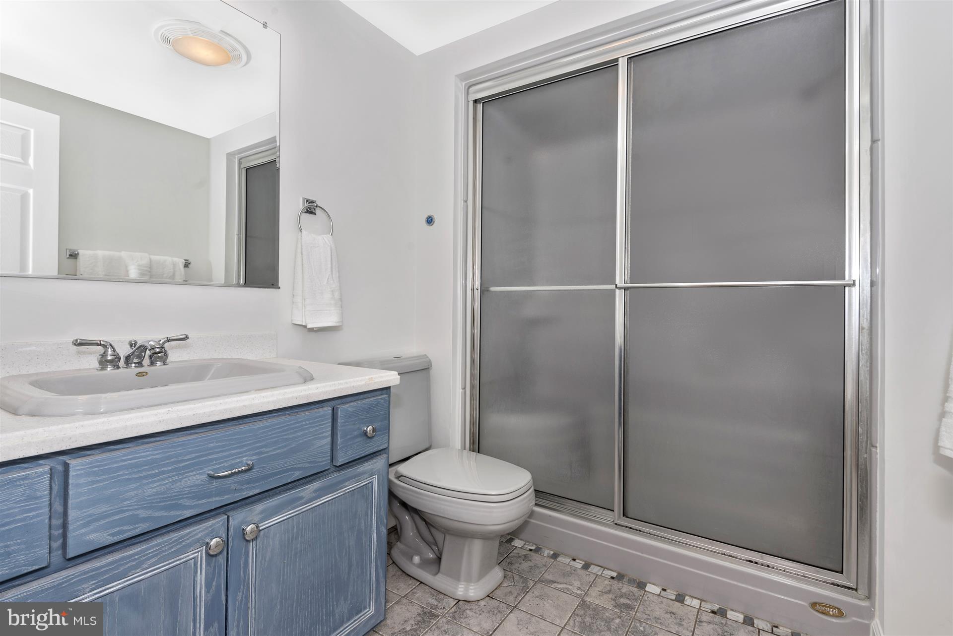 6090 Yorktown Road Mount Airy, MD 21771 - Photo 26 of 30 Basement Bath has a Steam Shower!