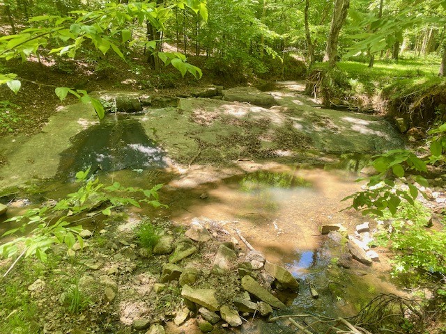 0 Pete Johnson Road Tignall, GA 30668 - Photo 4 of 43 Hang out Rock and Swimming Hole