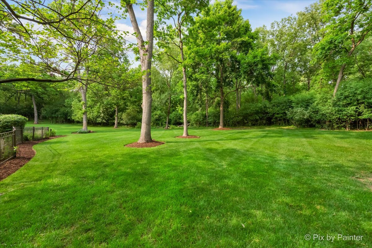 24881 North Black Walnut Cary, IL 60013 - Photo 51 of 53 a view of a park with large trees