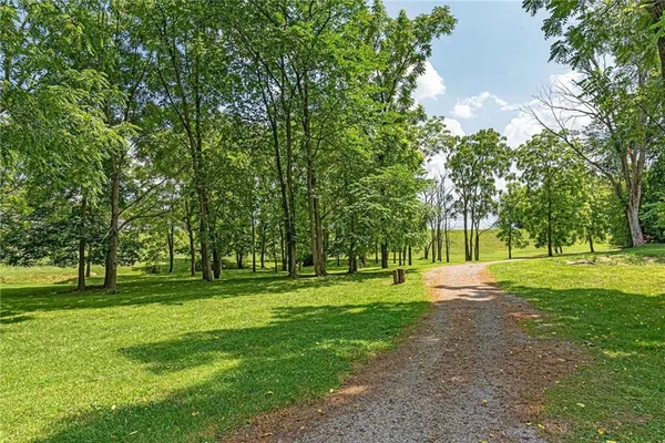 a big yard with trees