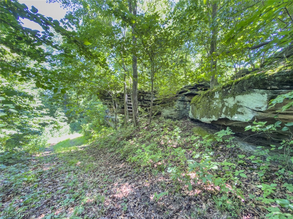 6985 Brush Run Road Cambridge, OH 43725 - Photo 36 of 50
