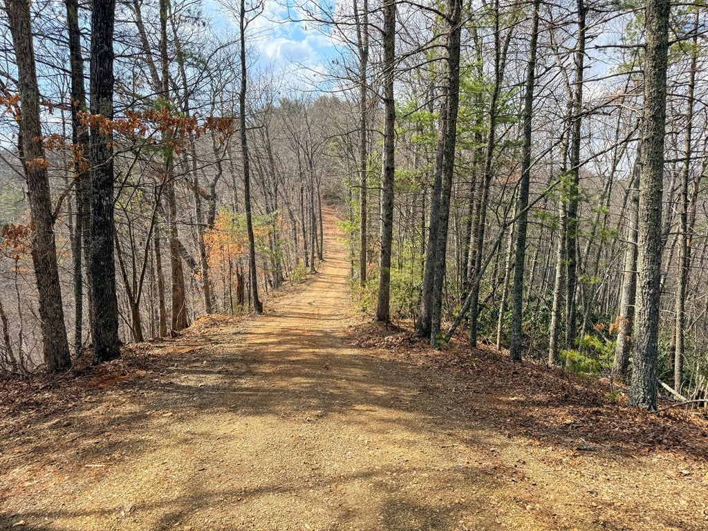 906 Scratch Gravel Road Max Meadows, VA 24360 - Photo 23 of 27 Gallery Image 23