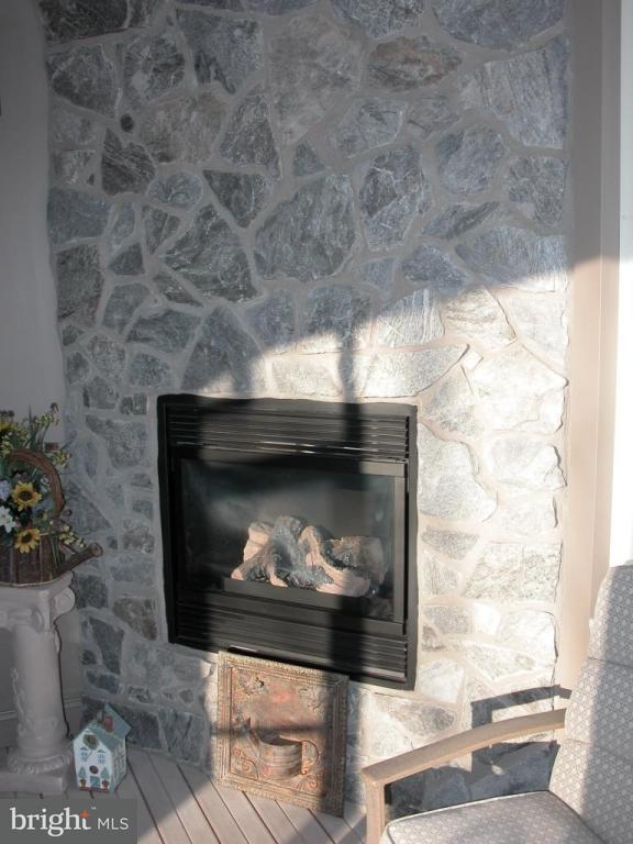 735 Goose Neck Drive, Unit 237 Lititz, PA 17543 - Photo 64 of 73 Gallery Image 64