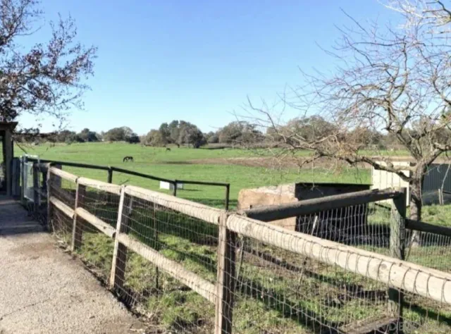 $3,200,000 | 19901 Atkins Road, Lodi, CA 95240